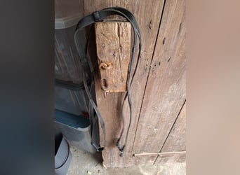 Schwarze Gurtzügel mit integrierten Lederstegen (Stops)