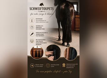 Schweiftoupet