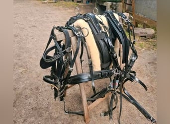 Shetty zweispännergeschirr Zilco/Ideal Equestrian 