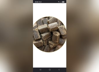 St hippolyt sempermin Club 20Kg ca vor 4wochen gekauft