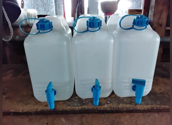 Ultraschallvernebler Solegerät UltraSonic Pro