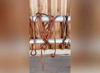 Zweispänner Shetty Brustblattgeschirr