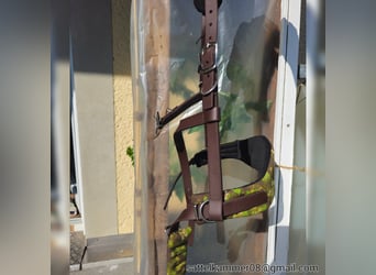 Biothane Gebisslose Trense Tausch/Verkauf