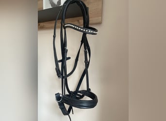 Gebisslosetrense mit Zügel