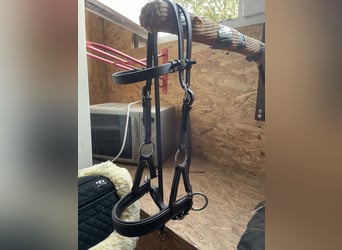 Sidepull braun Pony