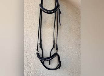 Fjölnir Trense Islandpferd schwarz | Strass | Isländer
