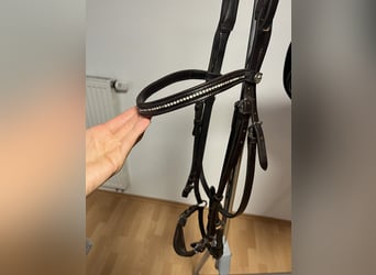 Hannoveranische Trense Schockemöhle