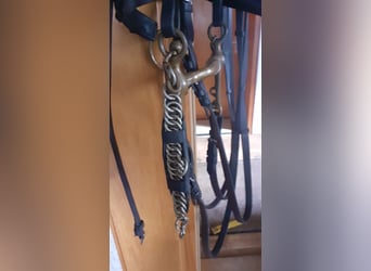 Dressurkandarenzaum WB inkl. Sprenger Aurigan Kandare+Unzerlegtrense + Zügel&Kinnkette