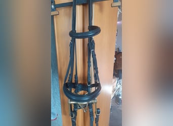 Dressurkandarenzaum WB inkl. Sprenger Aurigan Kandare+Unzerlegtrense + Zügel&Kinnkette