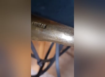 Dressurkandarenzaum WB inkl. Sprenger Aurigan Kandare+Unzerlegtrense + Zügel&Kinnkette