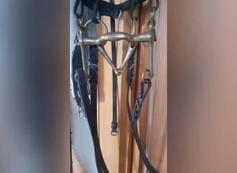 Dressurkandarenzaum WB inkl. Sprenger Aurigan Kandare+Unzerlegtrense + Zügel&Kinnkette