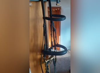 Dressurkandarenzaum WB inkl. Sprenger Aurigan Kandare+Unzerlegtrense + Zügel&Kinnkette