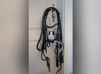 Kandarenzaum HKM neu