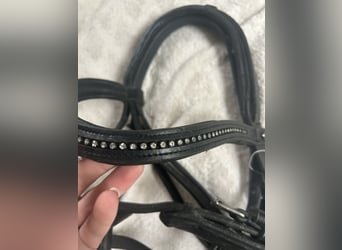 Kandarenzaum Sólibel Pony