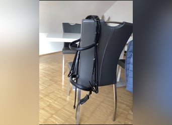 Kandarenzaum, WB, mit Gebissen Kieffer,Sprenger