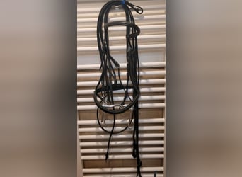 Kandarenzaum zu verkaufen 