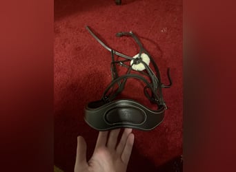 Mexikanische Trense von Horze WB