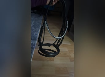 Neue Shetty Trense mit zügeln 