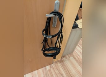 Döbert Zaumzeug Cob mit Lederzügel