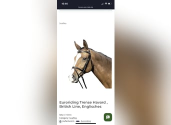 Euroriding Trense neu!  WB