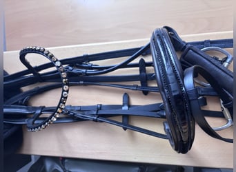 IVY - Ledertrense WB Schwarz Kroko-db. Nasenriemenunterlage NEU