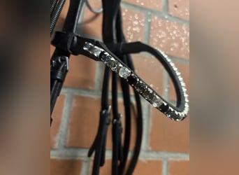 Schwarze Trense mit Strass