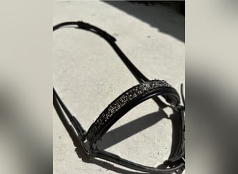 Hrímnir Nasenriemen l Feuer und Eis l Schwarz