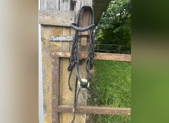 Trense mit passenden Zügeln abzugeben 