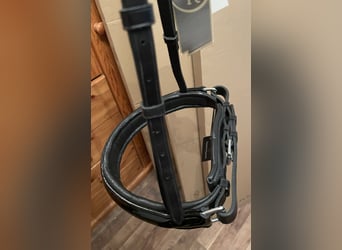 BR Reithalfter für Kandarre Lack weiß und schwarz unterlegt.