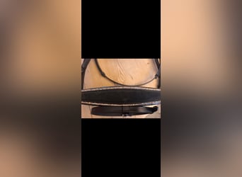 Magic Horse Design Trense