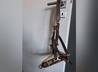 Kappzaum Figaro mit Naseneisen Hillbury