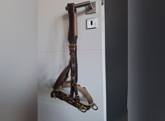 Kappzaum Figaro mit Naseneisen Hillbury