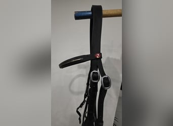 Mexikanische Trense von Kieffer WB