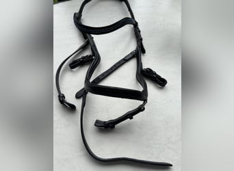 Micklem großes Warmblut