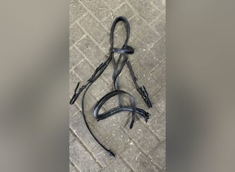 USG Trense mit Namensstirnband