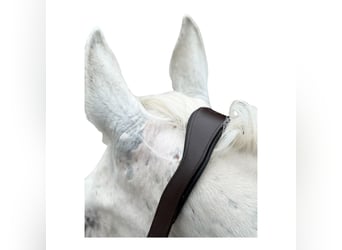 Anatomisch geformtes Halfter extra dick gepolstert