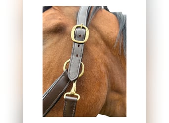 Anatomisch geformtes Halfter extra dick gepolstert