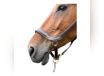 Anatomisch geformtes Halfter extra dick gepolstert