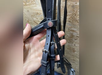 Trensenzaum von JH Reitsport Vollblut
