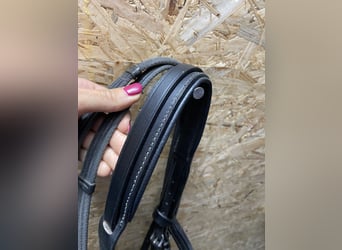 Trensenzaum von JH Reitsport Vollblut
