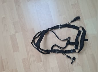 Wanderreittrense/Trense Pony  