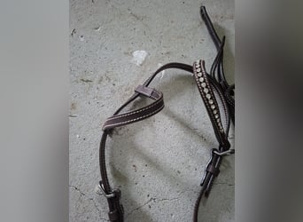 Einohr westerntrense