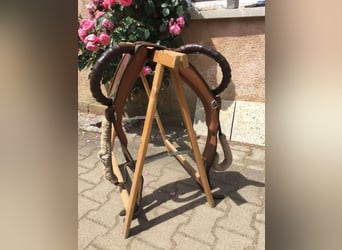 Voltigiergurt