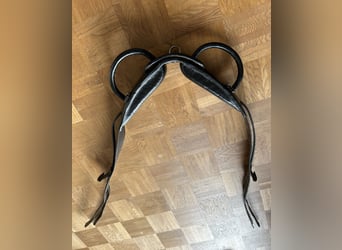 Vollleder-Voltigiergurt