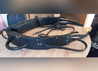 Voltigiergurt von Kavalkade incl.Unterlage und Bauchgurt