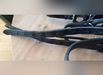 Voltigiergurt von Kavalkade incl.Unterlage und Bauchgurt