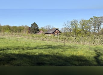 10 ha Paradies - Landhaus in traumhafter Alleinlage zu verkaufen