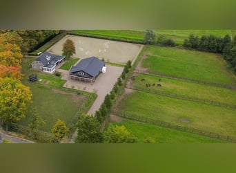 A beautiful location for horse happiness!