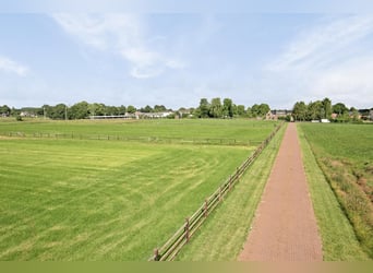 A Stunning Equestrian Estate with Endless Possibilities for the Professional Horse Enthusiast!