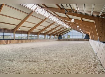 A Stunning Equestrian Estate with Endless Possibilities for the Professional Horse Enthusiast!